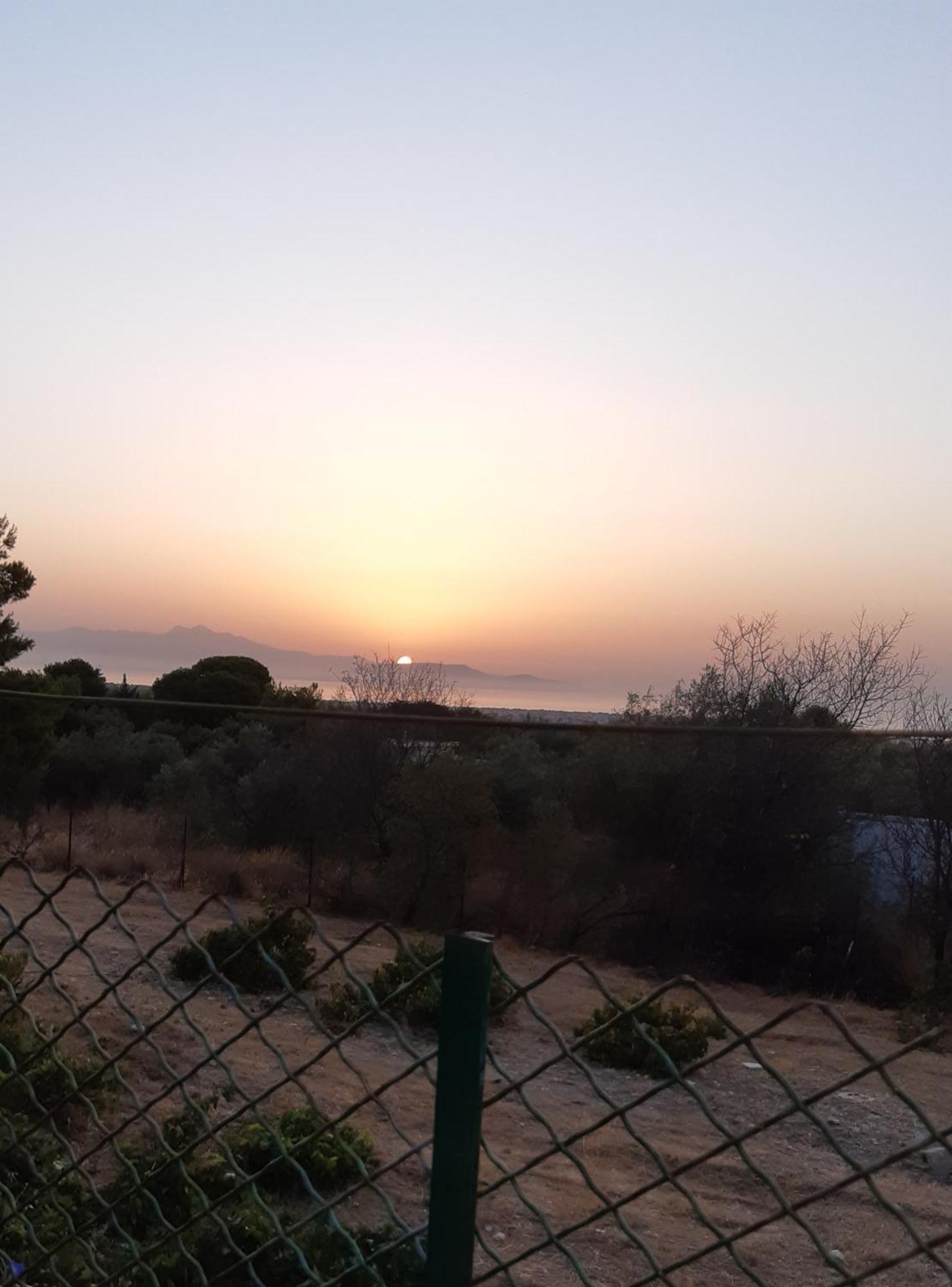 Room Near The Airport Pikérmion Δωμάτιο φωτογραφία