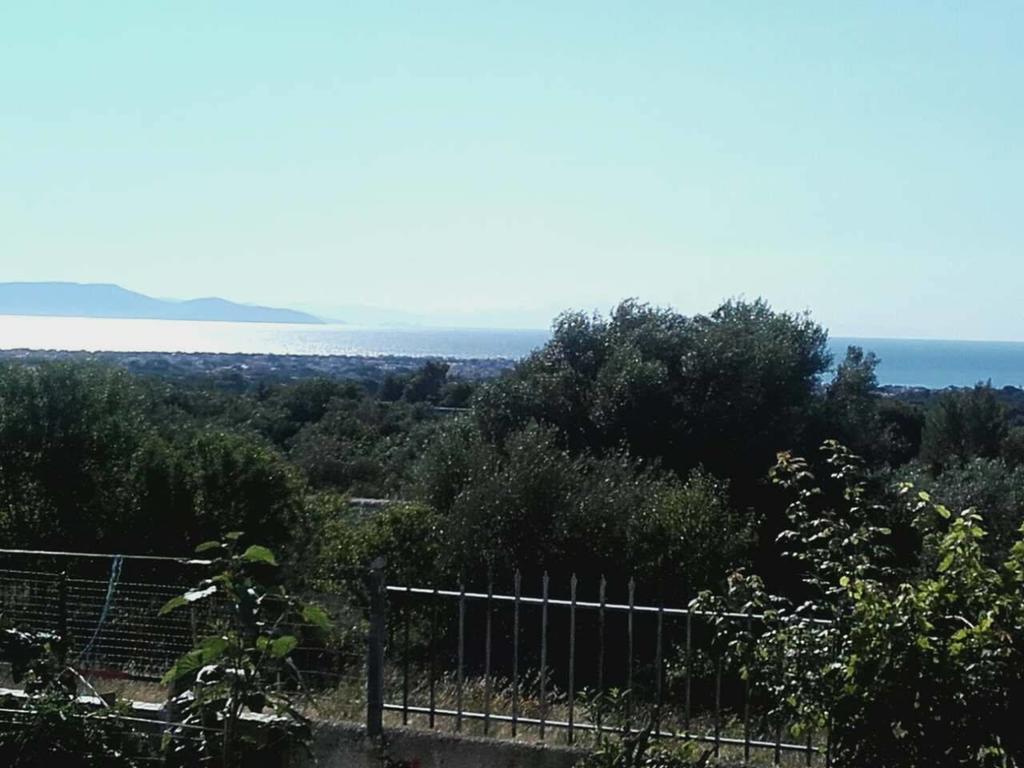 Room Near The Airport Pikérmion Εξωτερικό φωτογραφία