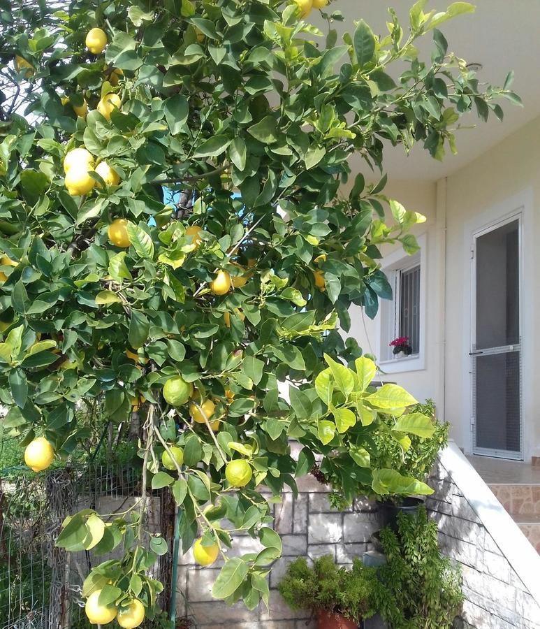 Room Near The Airport Pikérmion Εξωτερικό φωτογραφία