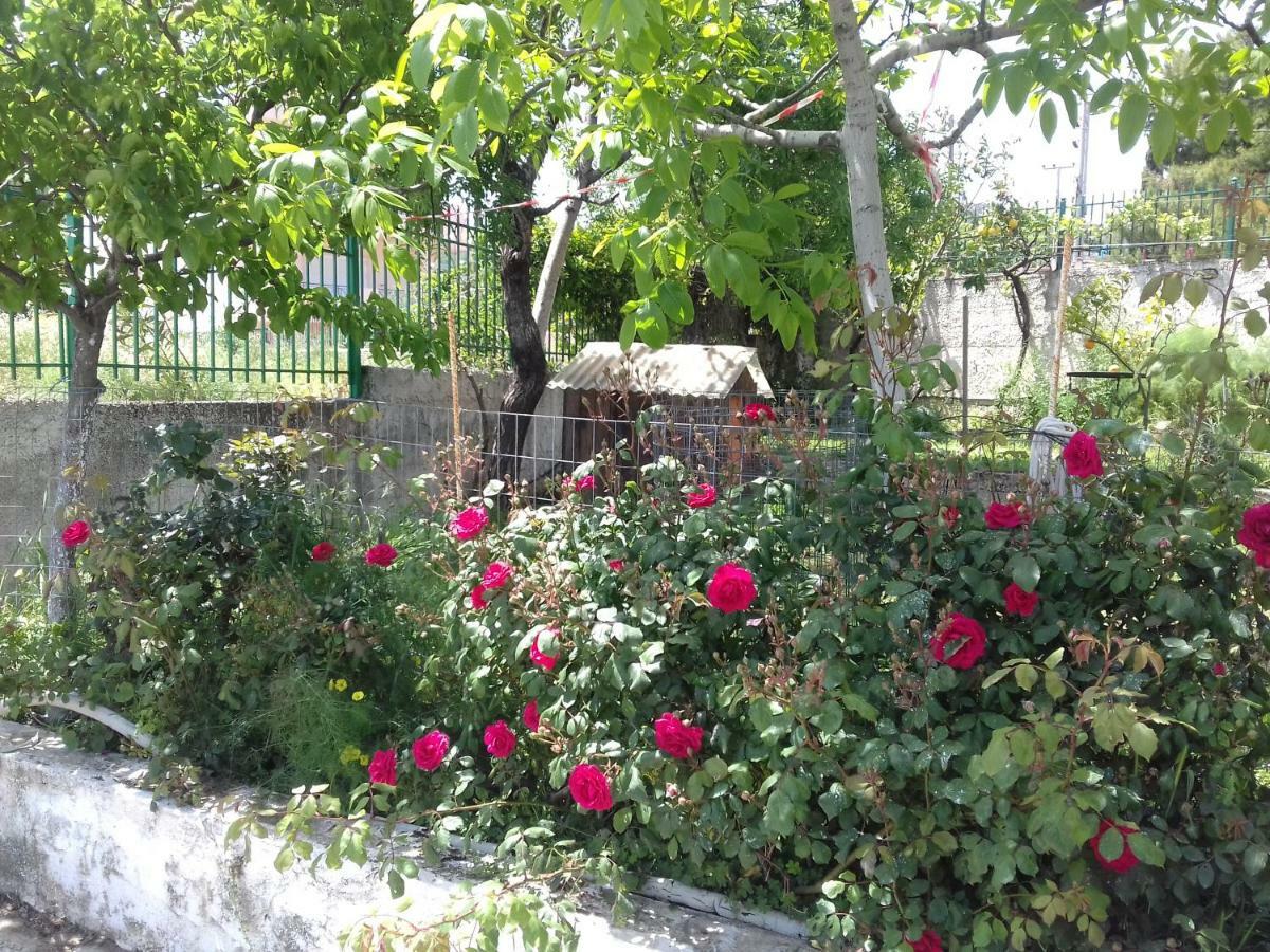 Room Near The Airport Pikérmion Εξωτερικό φωτογραφία